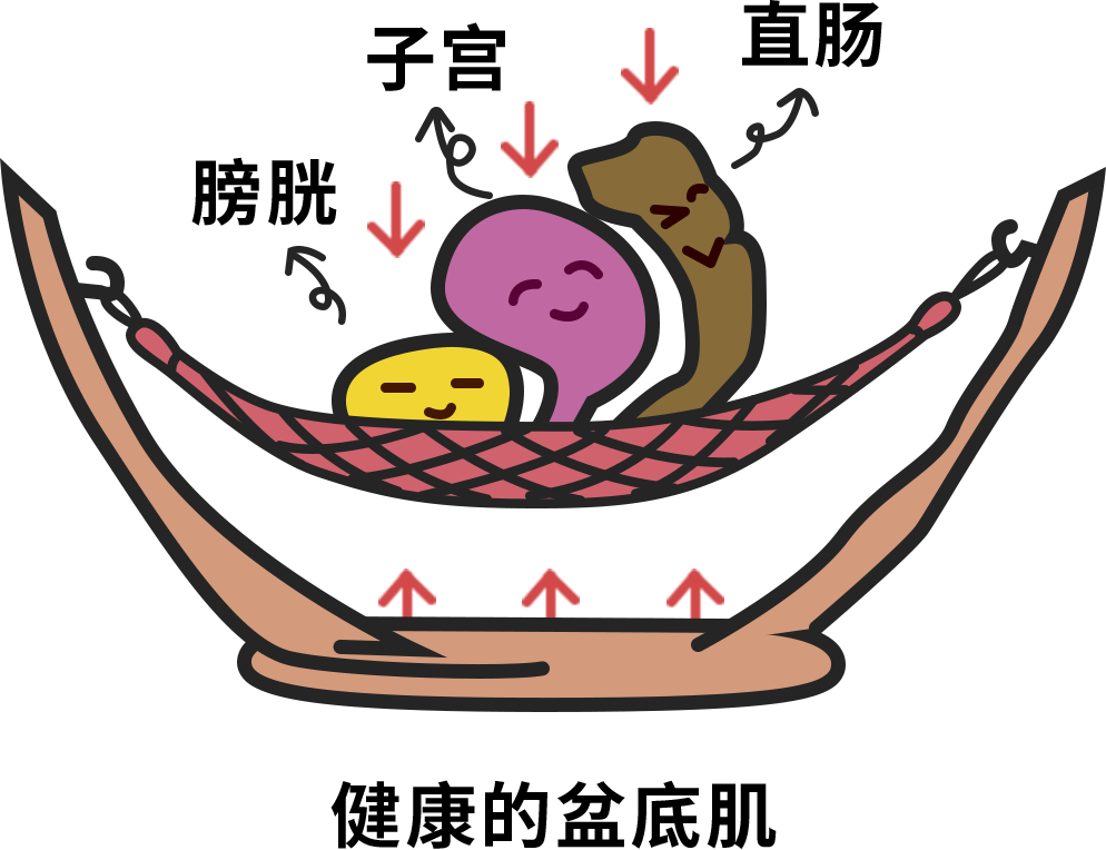 產(chǎn)后回不去的肚子，可能不是因?yàn)榕郑桥璧准≡谇缶龋?> </div>
 <div   id=