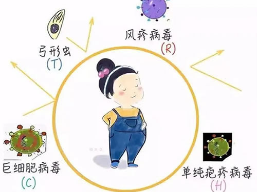 和專家聊聊你所不知道的優(yōu)生十項(xiàng)