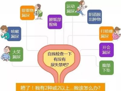 盆底超聲，讓難言之隱不再難查！